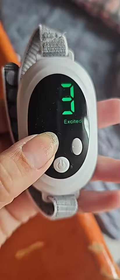 Customer avatar (Verified reviewer)